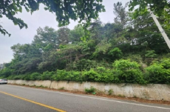 전북특별자치도 정읍시 산외면 정량리 산72 임야 경매 사진 21