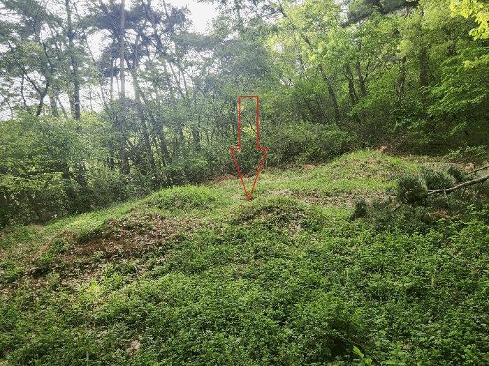 전북특별자치도 정읍시 산외면 정량리 산72 임야 경매 사진 7