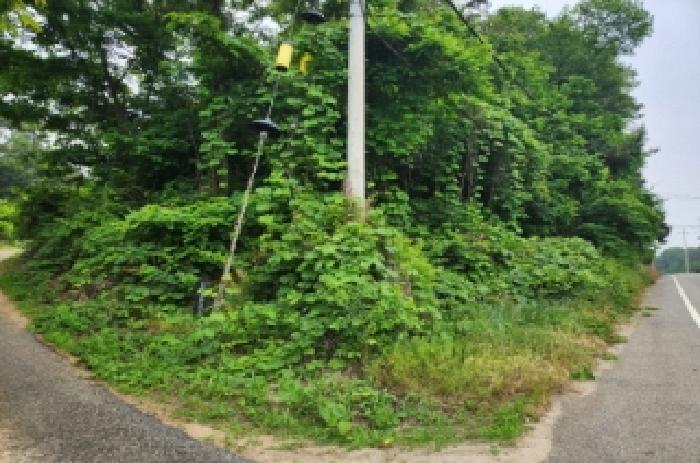 전북특별자치도 정읍시 산외면 정량리 18 답 경매 사진 22