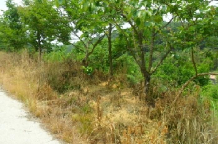 전북특별자치도 정읍시 산외면 정량리 18 답 경매 사진 36
