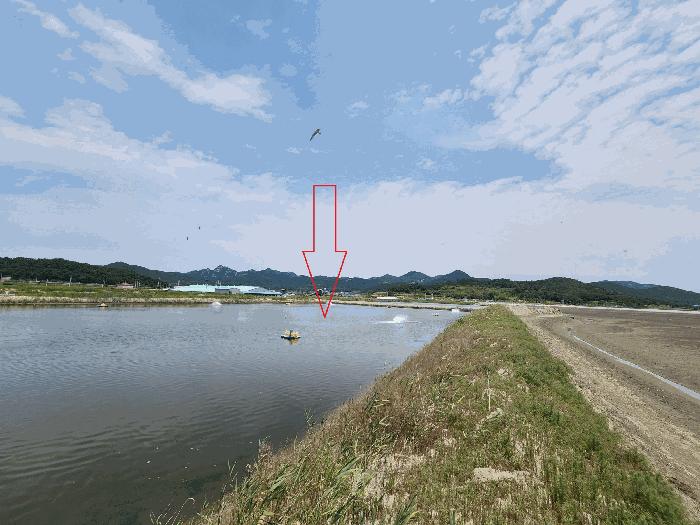 전북특별자치도 부안군 진서면 진서리 산149-90 임야 경매 사진 1