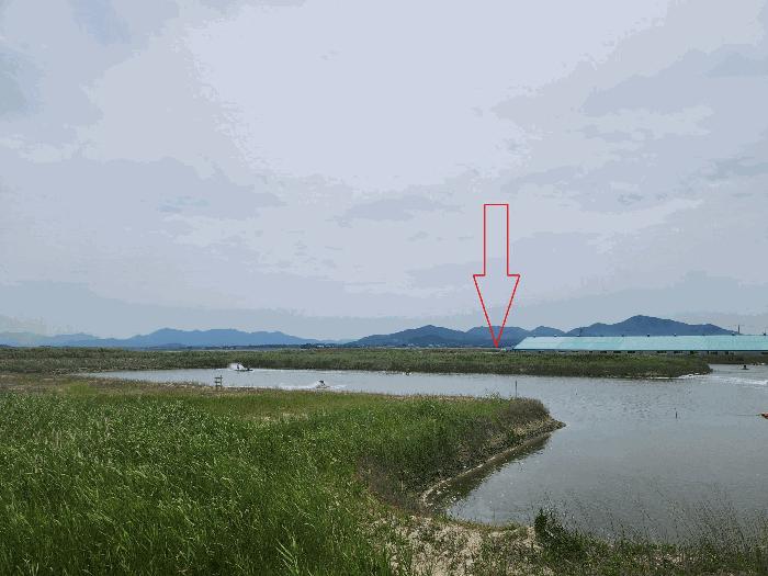 전북특별자치도 부안군 진서면 진서리 산149-90 임야 경매 사진 2