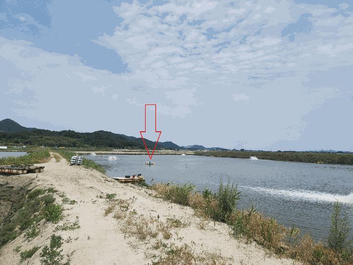 전북특별자치도 부안군 진서면 진서리 산149-90 임야 경매 사진 3