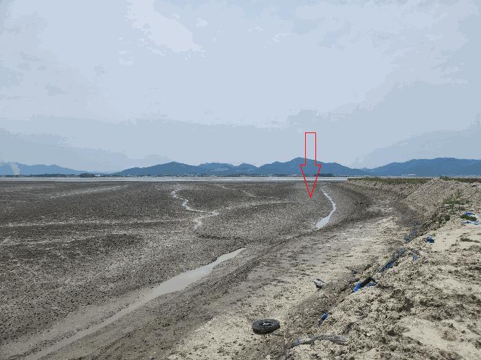 전북특별자치도 부안군 진서면 진서리 산149-90 임야 경매 사진 4