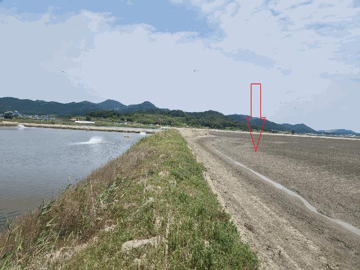 전북특별자치도 부안군 진서면 진서리 산149-90 임야 경매 사진 5