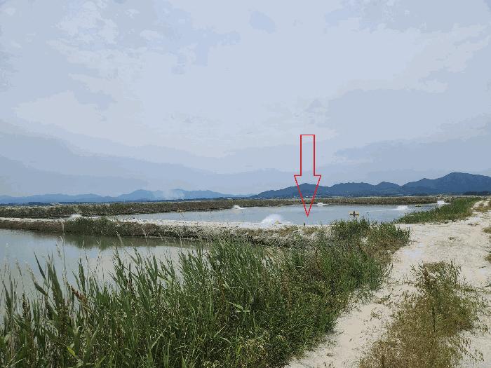 전북특별자치도 부안군 진서면 진서리 산149-90 임야 경매 사진 7