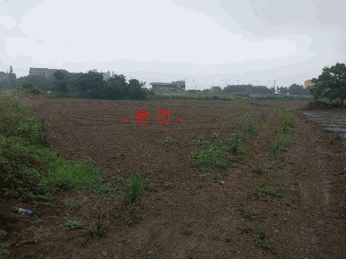 전북특별자치도 부안군 변산면 도청리 360 전 경매 사진 3