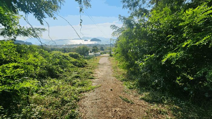 전라남도 여수시 돌산읍 금봉리 산561 임야 경매 사진 3