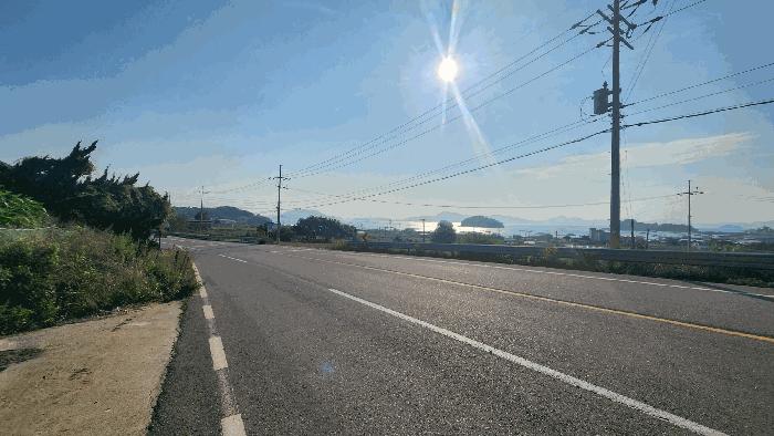 전라남도 여수시 돌산읍 금봉리 산561 임야 경매 사진 5