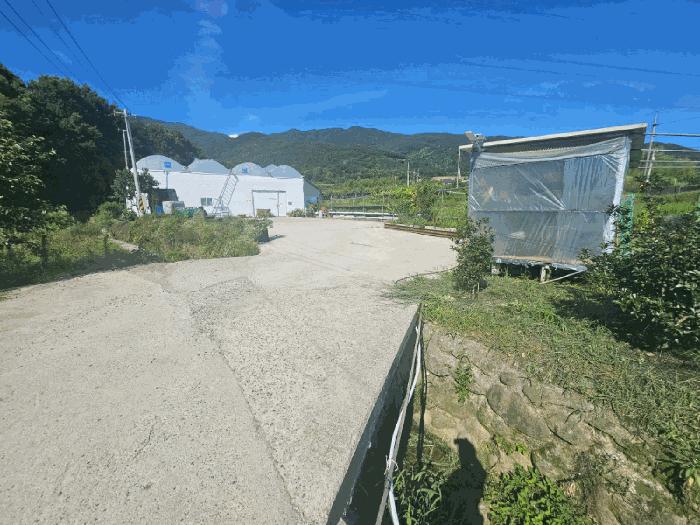 전라남도 구례군 마산면 마산리 244-1 답 경매 사진 10