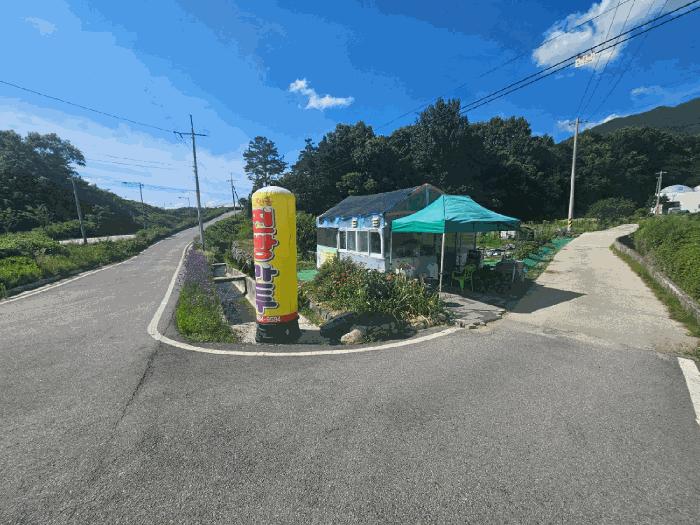전라남도 구례군 마산면 마산리 244-1 답 경매 사진 19