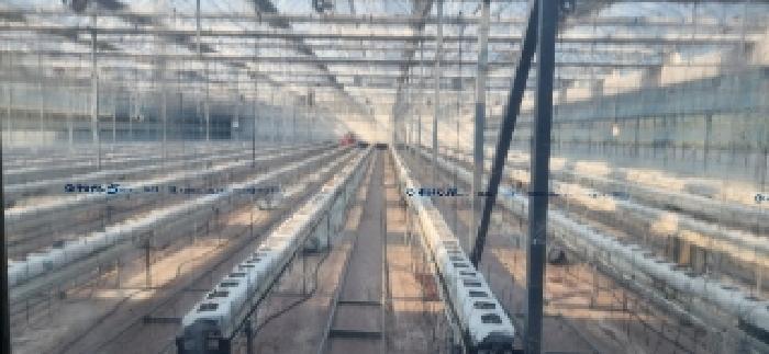 전라남도 구례군 마산면 마산리 244-1 답 경매 사진 34