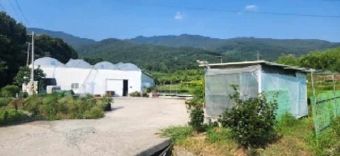 전라남도 구례군 마산면 마산리 244-1 답 경매 사진 40