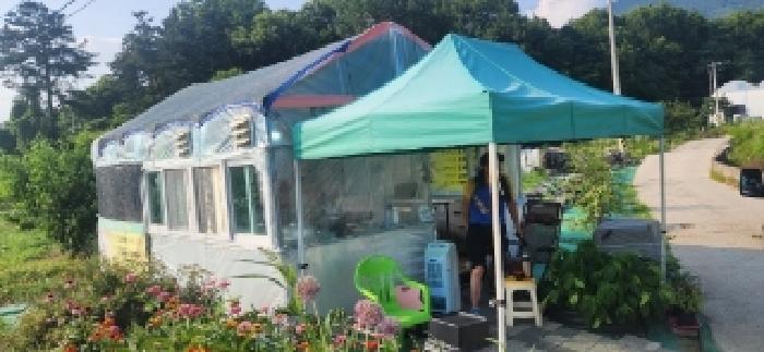 전라남도 구례군 마산면 마산리 244-1 답 경매 사진 41