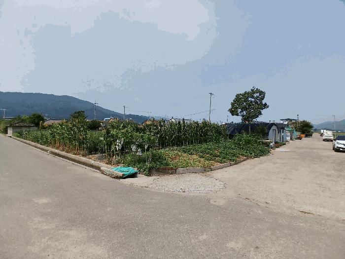 전라남도 보성군 조성면 덕산리 1948-1 답 경매 사진 1