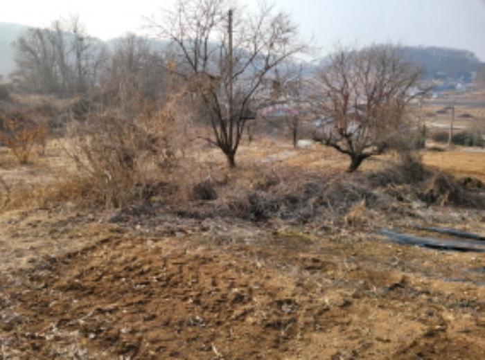 경기도 김포시 대곶면 율생리 197-3 전 경매 사진 12
