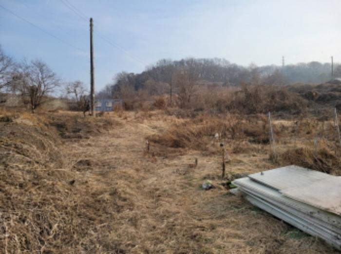 경기도 김포시 대곶면 율생리 197-3 전 경매 사진 8