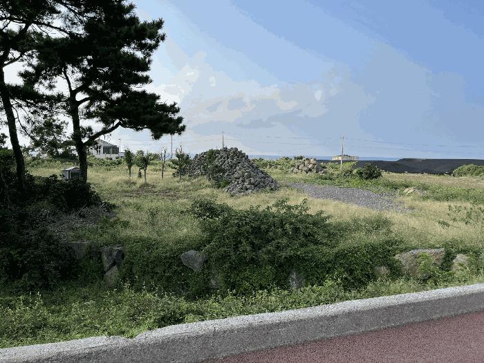 제주특별자치도 제주시 한림읍 금능리 1939-1 전 경매 사진 4