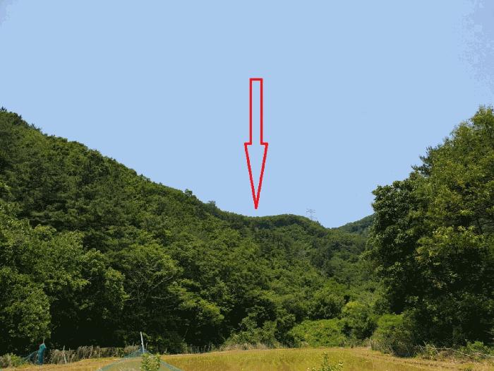 경상북도 경주시 현곡면 래태리 산121 임야 경매 사진 2
