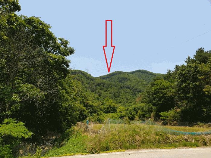 경상북도 경주시 현곡면 래태리 산121 임야 경매 사진 3