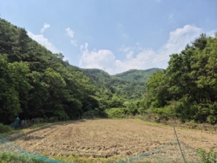 경상북도 경주시 현곡면 래태리 산121 임야 경매 사진 5