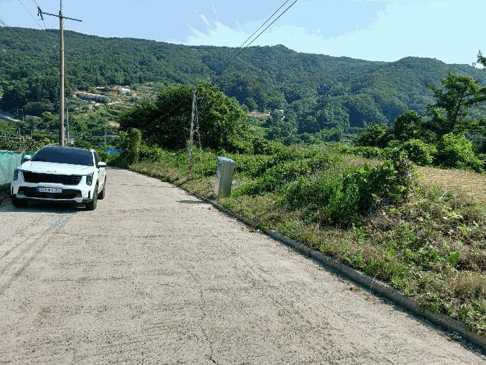경상북도 경주시 양남면 신대리 산270 임야 경매 사진 5