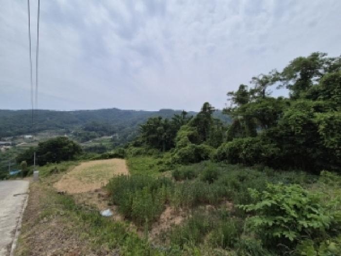 경상북도 경주시 양남면 신대리 산270 임야 경매 사진 8