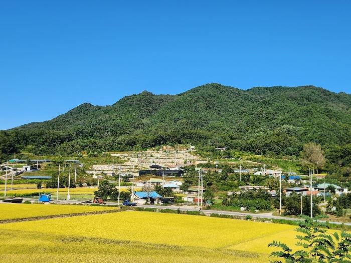 경상북도 상주시 연원동 904 대지 경매 사진 1