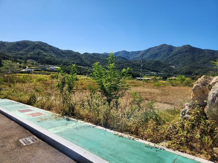 경상북도 상주시 연원동 904 대지 경매 사진 14