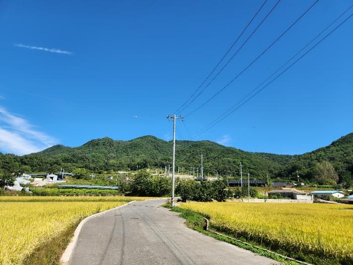 경상북도 상주시 연원동 904 대지 경매 사진 32
