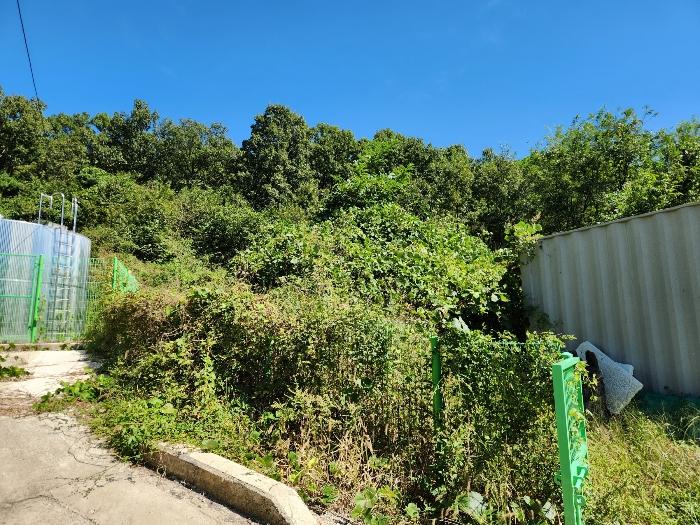 경상북도 상주시 연원동 904 대지 경매 사진 35