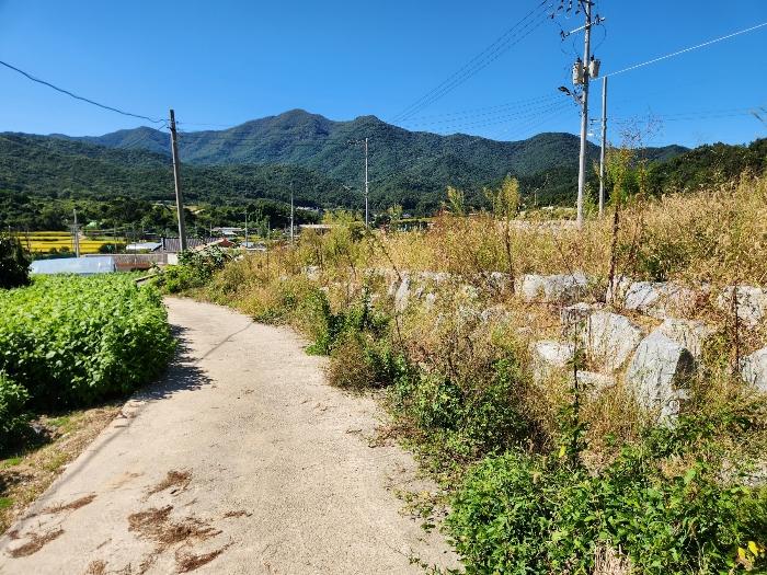 경상북도 상주시 연원동 904 대지 경매 사진 36