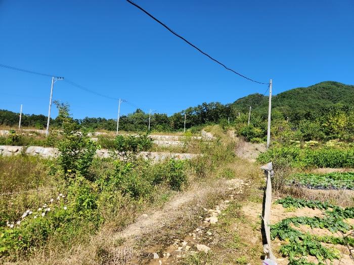 경상북도 상주시 연원동 904 대지 경매 사진 5
