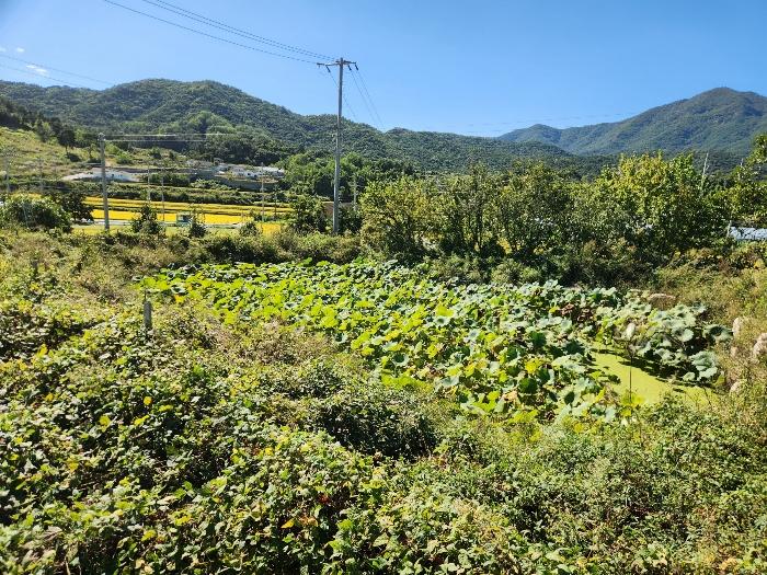 경상북도 상주시 연원동 904 대지 경매 사진 57