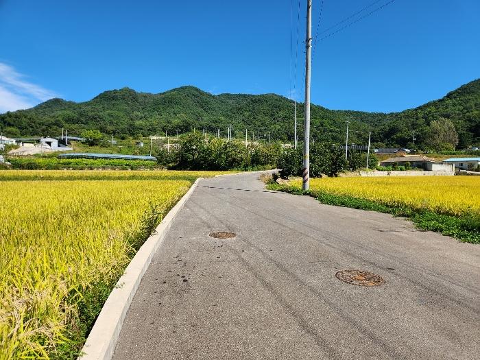 경상북도 상주시 연원동 904 대지 경매 사진 6