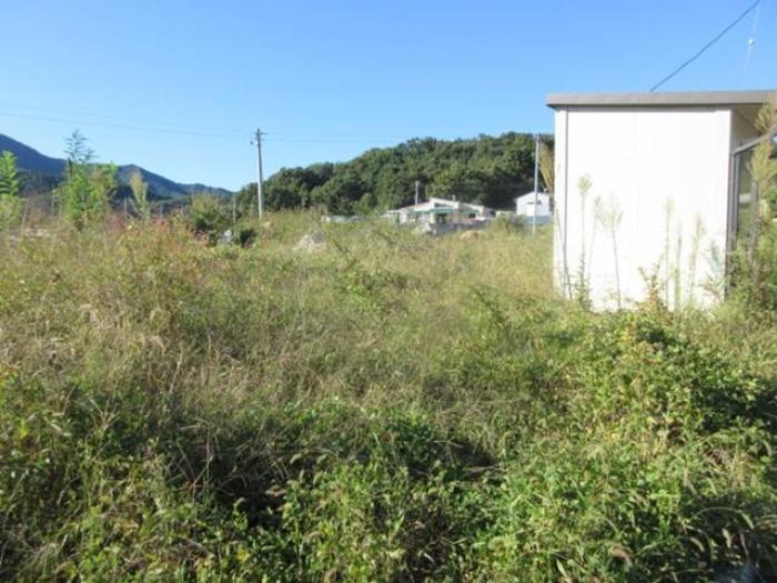 경상북도 상주시 연원동 904 대지 경매 사진 68