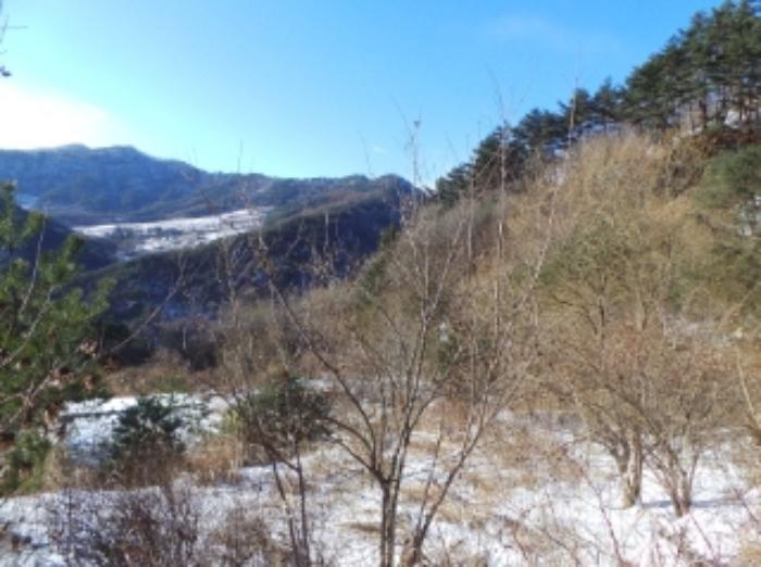 강원특별자치도 평창군 대화면 개수리 852 전 경매 사진 16