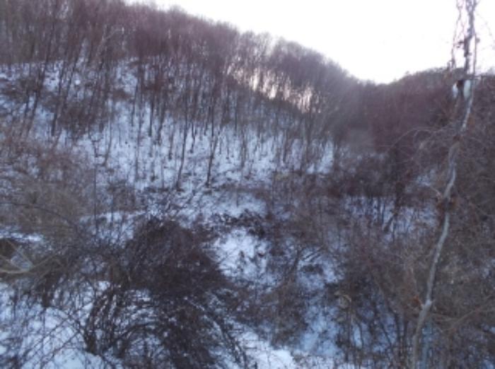 강원특별자치도 평창군 대화면 개수리 859 전 경매 사진 14