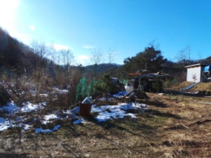 강원특별자치도 평창군 봉평면 면온리 155 임야 경매 사진 7