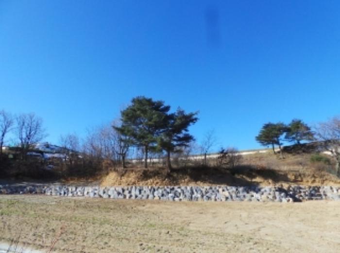강원특별자치도 평창군 대관령면 횡계리 산106-37 임야 경매 사진 4
