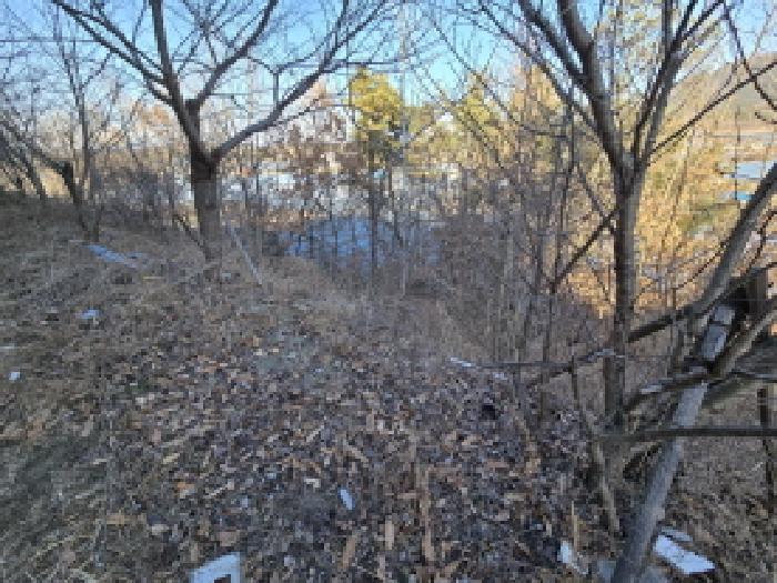 경상북도 영천시 금호읍 호남리 443-1 임야 경매 사진 14