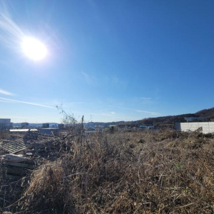 경기도 파주시 파주읍 파주리 209 전 경매 사진 11