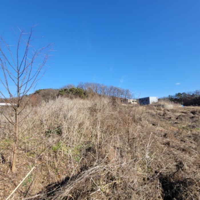 경기도 파주시 파주읍 파주리 209 전 경매 사진 15