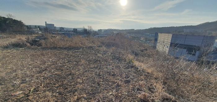 경기도 파주시 파주읍 파주리 209 전 경매 사진 3