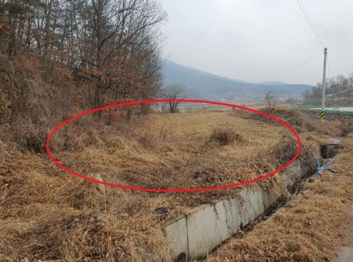 경상북도 의성군 안사면 만리리 706-1 전 경매 사진 1
