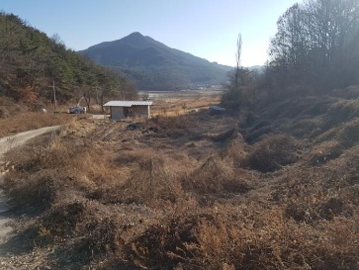 경상북도 의성군 안사면 만리리 706-1 전 경매 사진 10