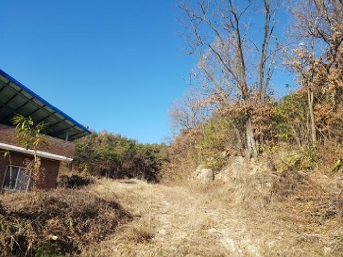 경상북도 의성군 안사면 만리리 706-1 전 경매 사진 11