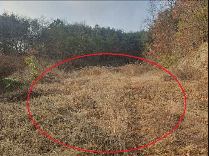 경상북도 의성군 안사면 만리리 706-1 전 경매 사진 2
