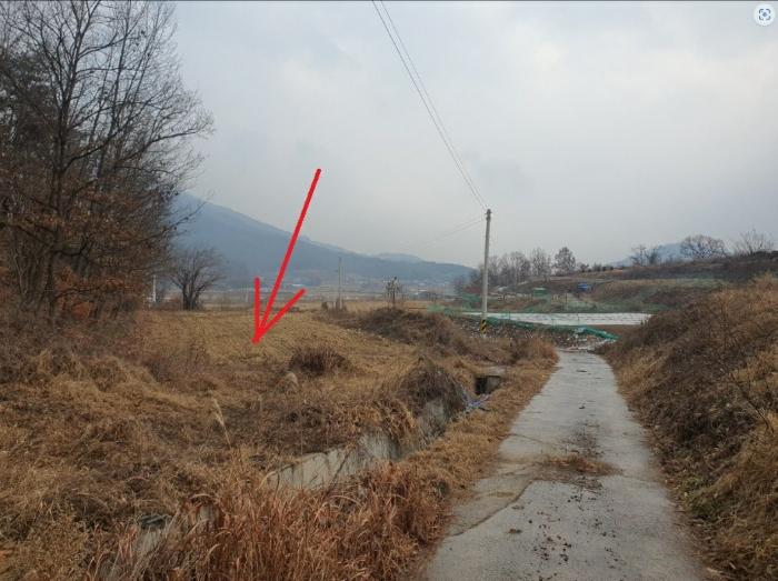 경상북도 의성군 안사면 만리리 706-1 전 경매 사진 3
