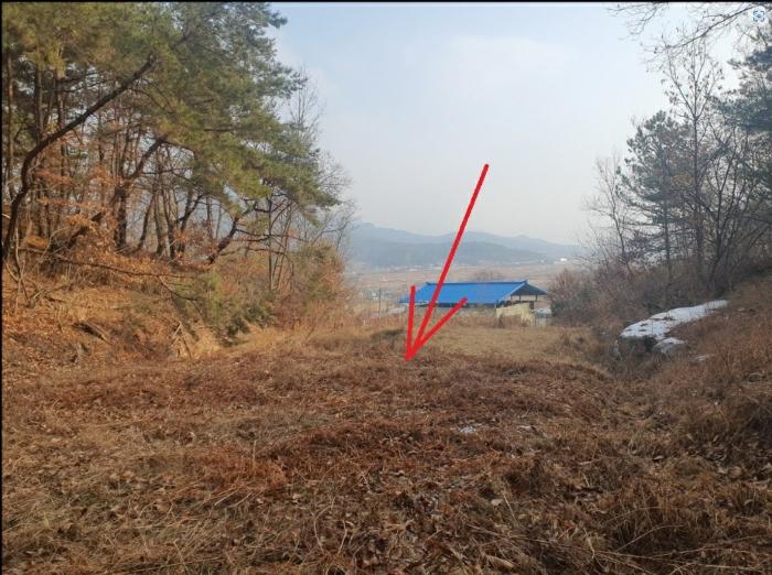 경상북도 의성군 안사면 만리리 706-1 전 경매 사진 4